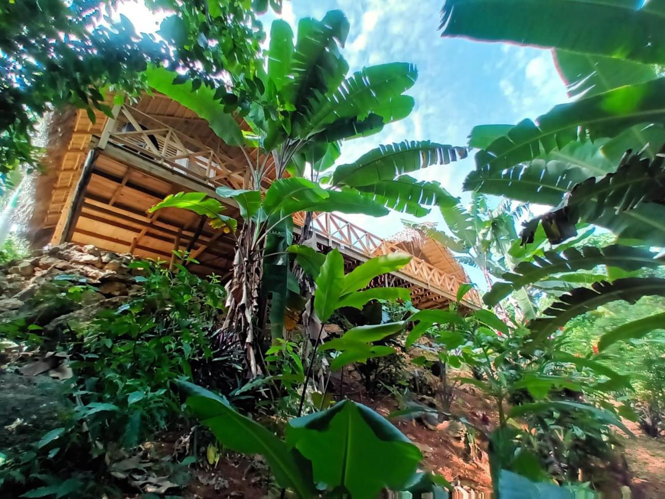 Samo Eco Lodge Лас Терренас Экстерьер фото