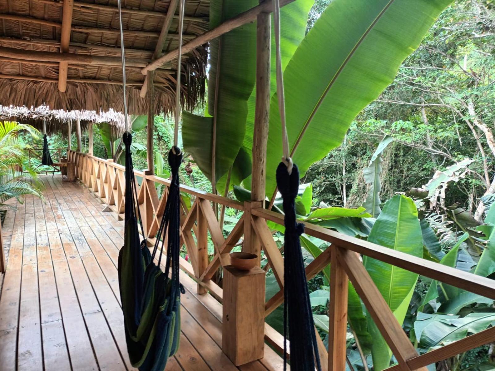 Samo Eco Lodge Лас Терренас Экстерьер фото
